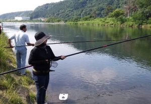 鮎釣りデビュー